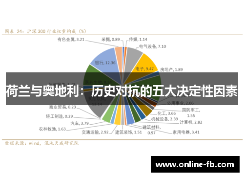 荷兰与奥地利：历史对抗的五大决定性因素