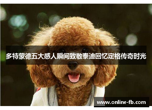 多特蒙德五大感人瞬间致敬泰迪回忆定格传奇时光