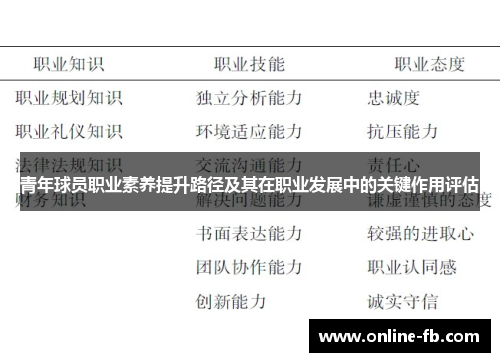 青年球员职业素养提升路径及其在职业发展中的关键作用评估